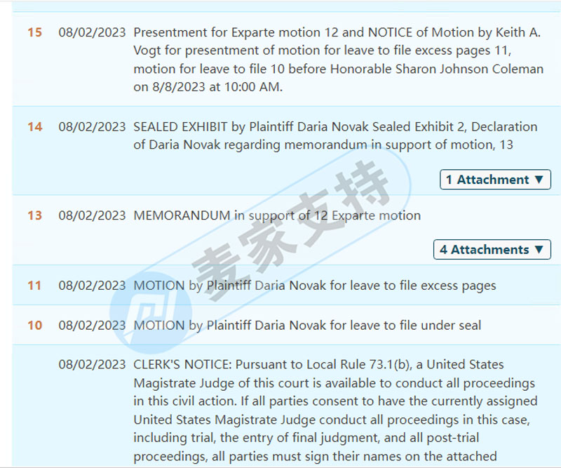 Minority paintings can't escape infringement, and DariaNovak entrusts Keith Law Firm with copyright protection, that is, TRO is frozen.