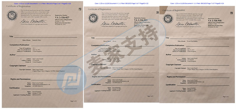 It never rains but it pours. Keith has two cases in succession! Kate Louise Powell's cross-border copyright rights protection again