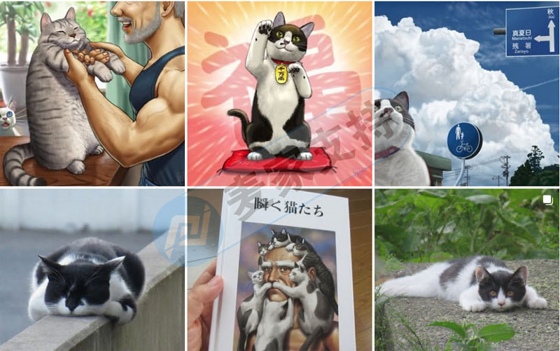 Recently, the first case was quickly investigated ~Keith represented Taku Shibata in a case of cat copyright in autumn wind, and Xuequan Li patented projection lamp to defend rights.