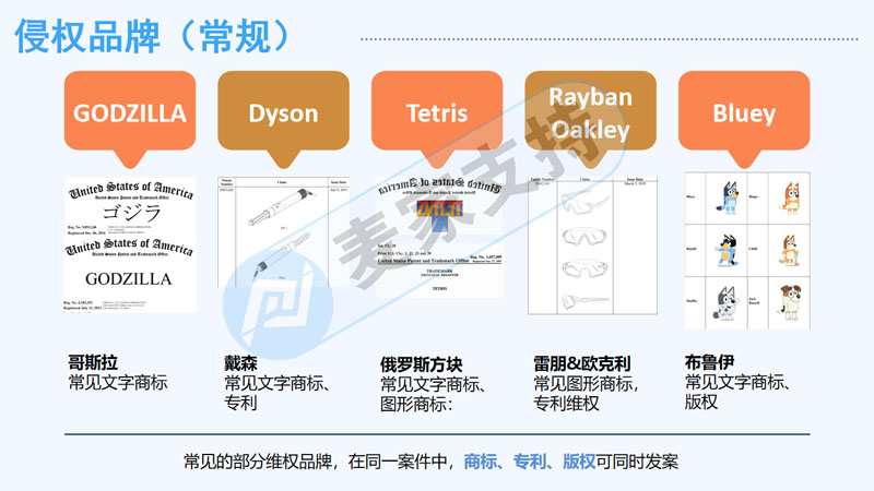 Mai Jia supports the invitation to attend the 2nd North Cross-border Brand Summit to share some issues about TRO infringement of cross-border e-commerce.