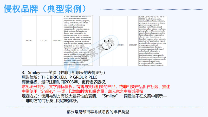 Mai Jia supports the invitation to attend the 2nd North Cross-border Brand Summit to share some issues about TRO infringement of cross-border e-commerce.