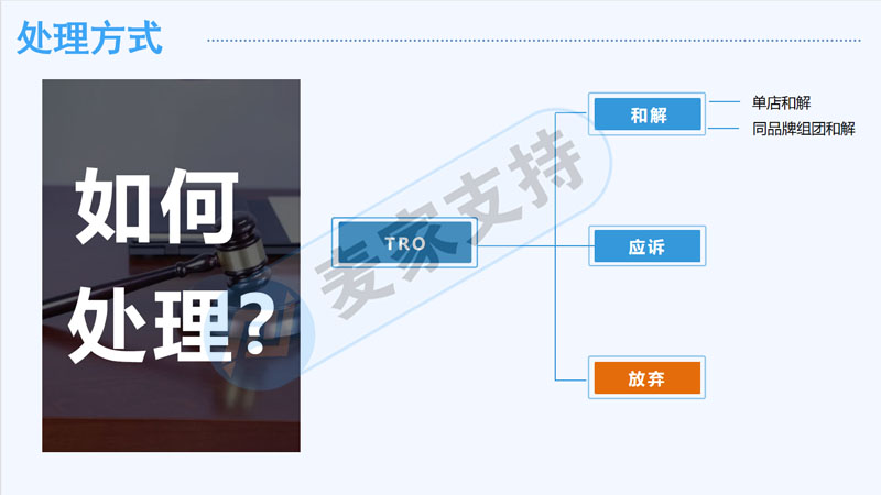 Mai Jia supports the invitation to attend the 2nd North Cross-border Brand Summit to share some issues about TRO infringement of cross-border e-commerce.