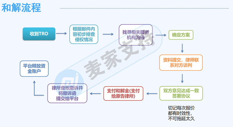 Mai Jia supports the invitation to attend the 2nd North Cross-border Brand Summit to share some issues about TRO infringement of cross-border e-commerce.